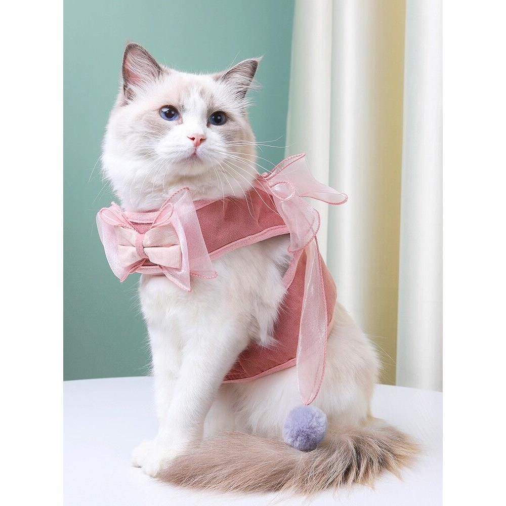 很仙的猫咪秋装抖音同款配牵引绳泰迪小型狗狗网红可爱秋冬猫衣服