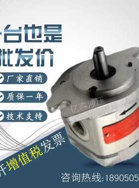 德国捷克JIHOSTROJ齿轮油泵QHD07/10/13/17/19/23/27/29/32/36/38