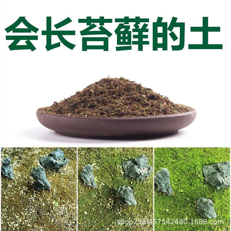 会长出苔藓的土辅助型营养介质小