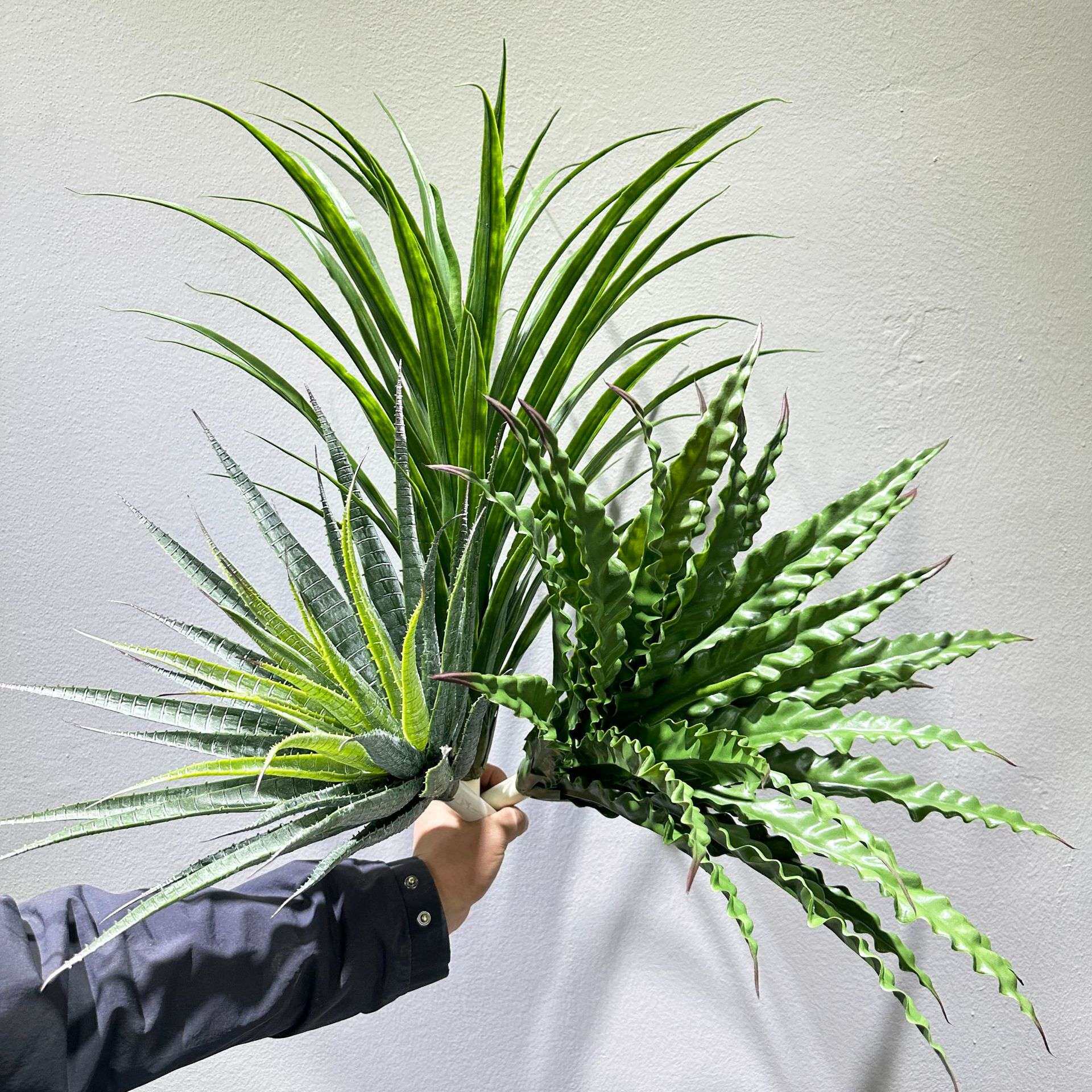 仿真绿植鸟巢蕨龙血树剑麻龙舌兰