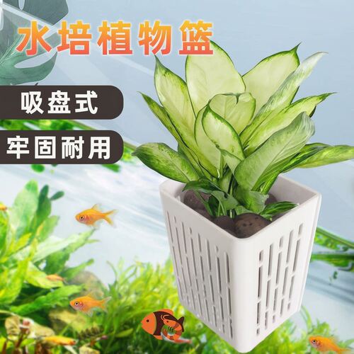 新升级鱼缸水培定植篮水草固定