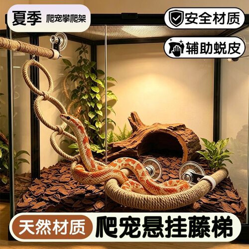 玉米蛇吸盘攀爬绳+肥尾守宫悬挂