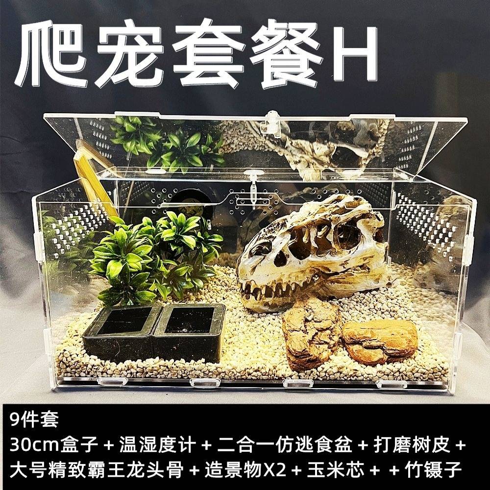 爬宠专用豹纹雨林风格蜥蜴蜘蛛