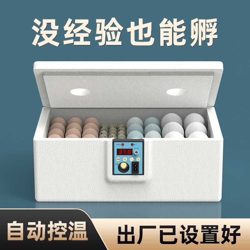 孵化器小型水床芦丁鸡孵蛋器家用