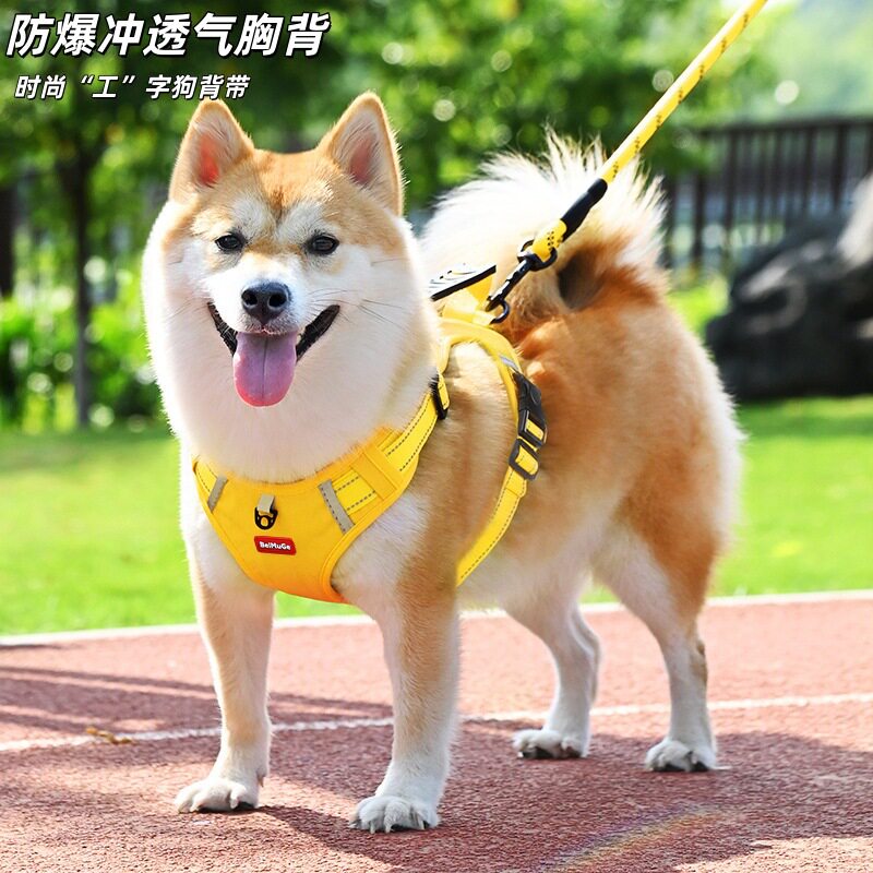 狗狗专用背心式反光胸背牵引绳中