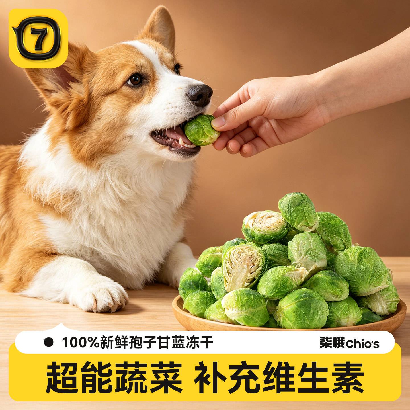 宠物专用果蔬冻干零食孢子甘蓝脆