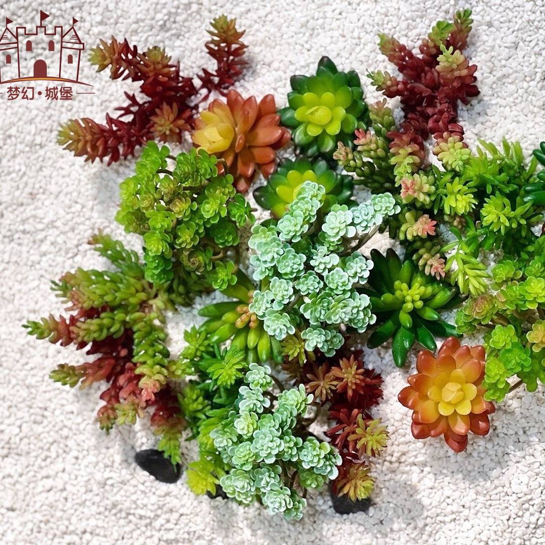 北欧风立体植物装饰框壁挂绿植图片