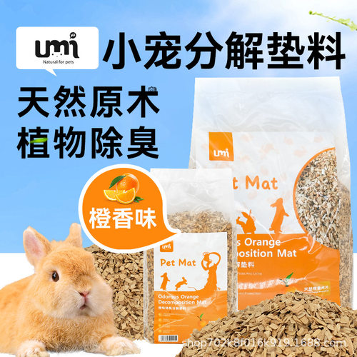 兔子龙猫仓鼠豚鼠土拨鼠安格鲁貂