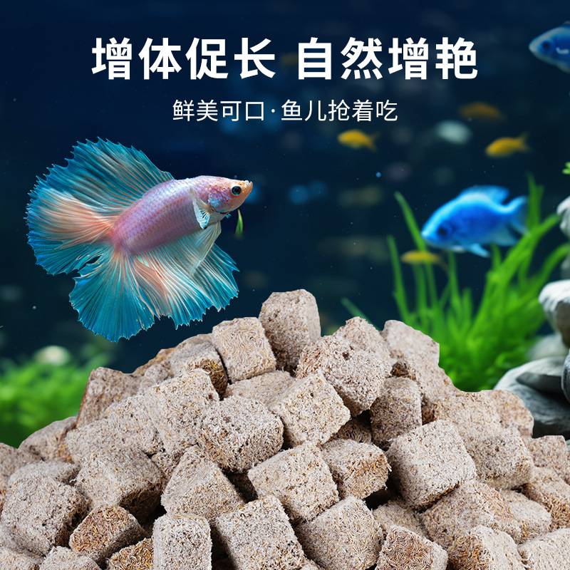 水蚯蚓冻干红线虫鱼粮孔雀鱼金鱼