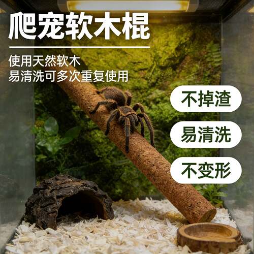 蜘蛛睫角守宫专用攀爬软木棍树栖