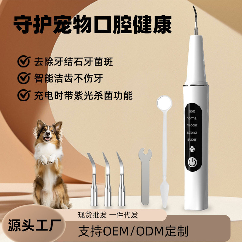 宠物专用超声波洁牙器高效去除的