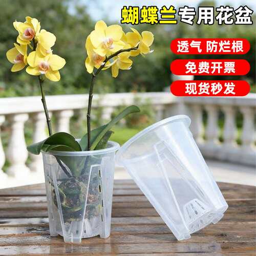 透明加厚蝴蝶兰专用青山控根花盆
