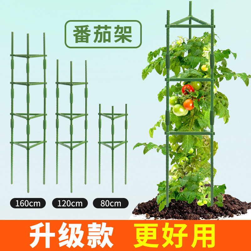 升级款番茄笼园艺三角爬藤架番黄瓜蔬果种植爬藤花支架小包装