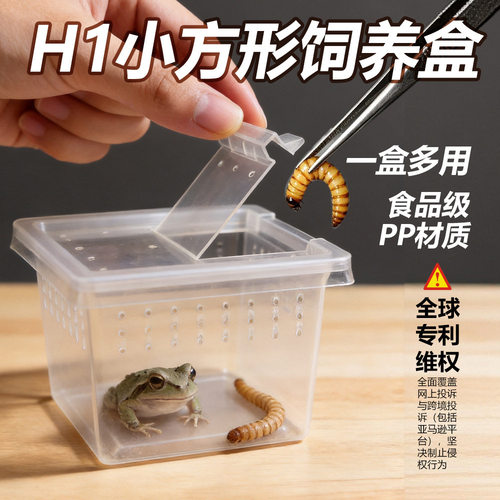昆虫饲养专用透气塑料养殖盒适配