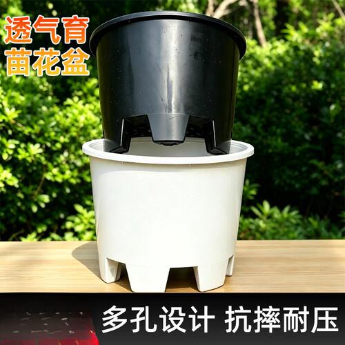 塑料育苗花盆+接水盘套装｜大号