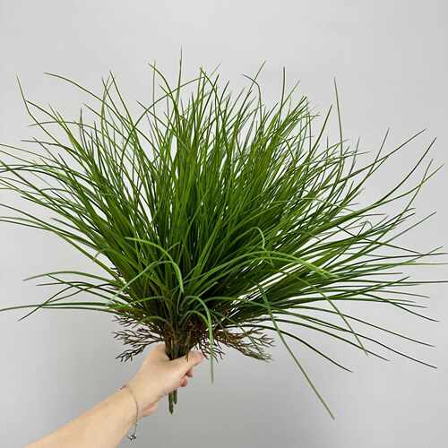 仿真绿植兰草兰花草野草微景观墙