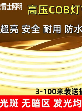 雷士照明COB硅胶灯带防水