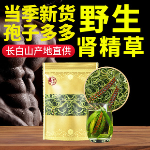 肾精茶黄金草嗷嗷叫东北长白山野肾精草正品官方旗舰店生