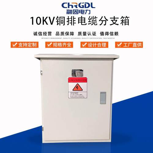 厂家现货供应成套设备户外高压白色10KV铜排高压分接箱电缆分支箱
