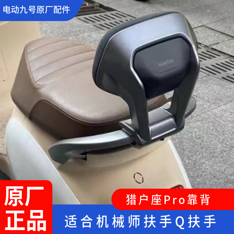 九号电动Pro版后靠背猎户座DZ系Mmax150Q90cQ85cMmax90Mmax.110 p