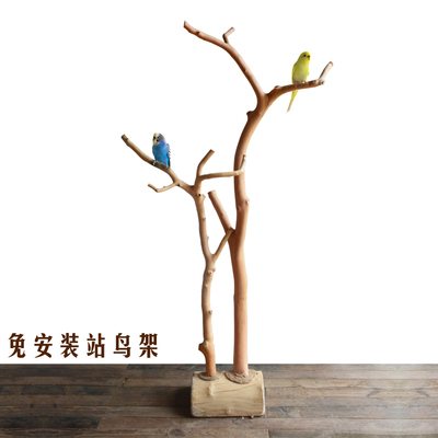 干树枝双树杈站鸟架原木t去皮衣帽架落地衣架客厅创意摆件装饰包