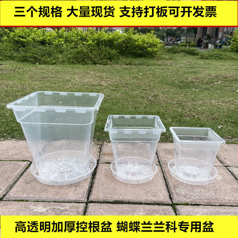 透明方形青山控根盆蝴蝶兰专用花盆加厚透气塑料花盆带托盘绿植盆图片