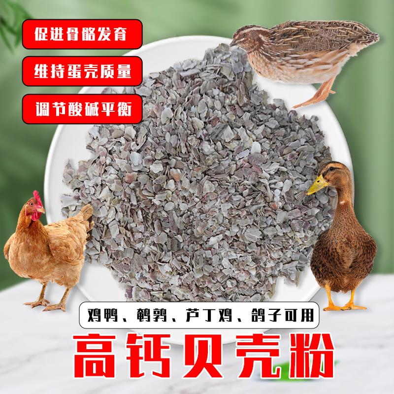 贝壳粉饲料补钙兽用鸡鸭