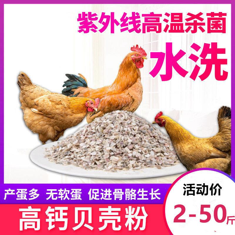 贝壳粉饲料牡蛎鸡用补钙