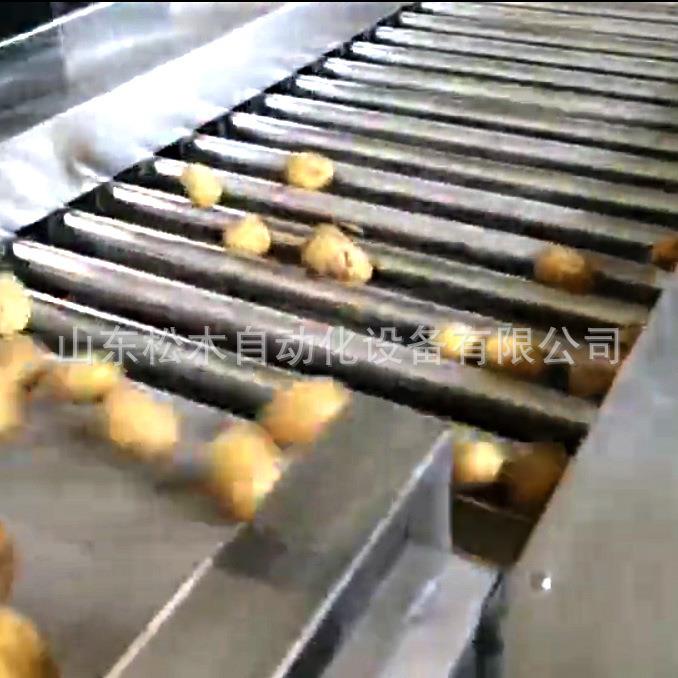 土分级机全自动豆锈钢土豆西柿DJJ苹果重量分拣机沃柑橙子分红不