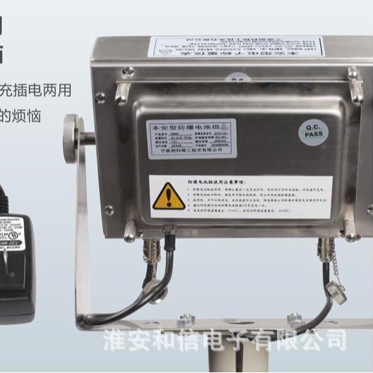 防爆子EX-2T地磅2000kg化工区域电用本安E型防爆地磅X-T防2爆电子