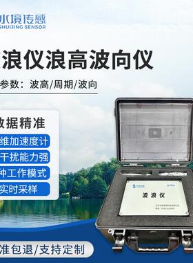 波浪仪浪高波向仪沿海风浪实时采样高度频谱测量仪器设备