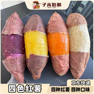【红薯四拼】四色红薯榴莲蜜薯子禾姑娘金时地瓜高端水果红薯地瓜
