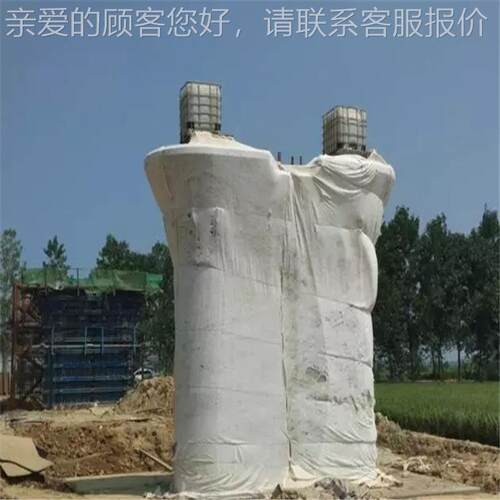 MOY墩喷淋设备 墩墩养桥护喷桥淋设备 桥喷淋报价