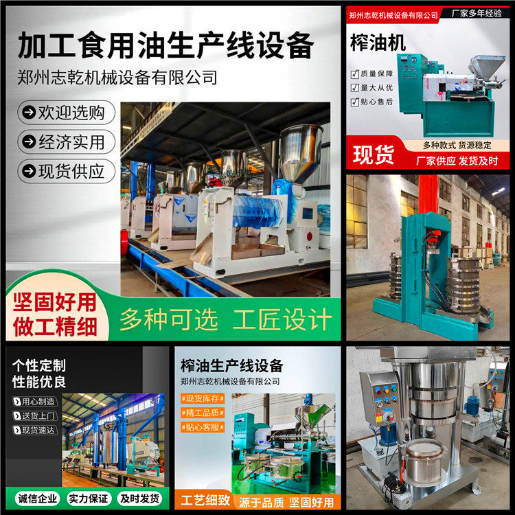 压榨香榧油全套设备 加工香榧油生产线设备 精制食用油炼油机