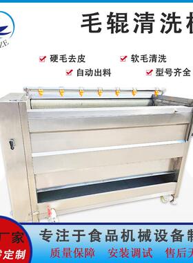 商用大型不锈钢U型毛刷清洗设备土豆红薯去皮机葛根毛辊去泥机