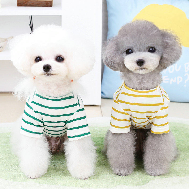 小狗衣服2023春秋猫服装夏款博美泰迪小型犬宠物服怀抱熊T恤