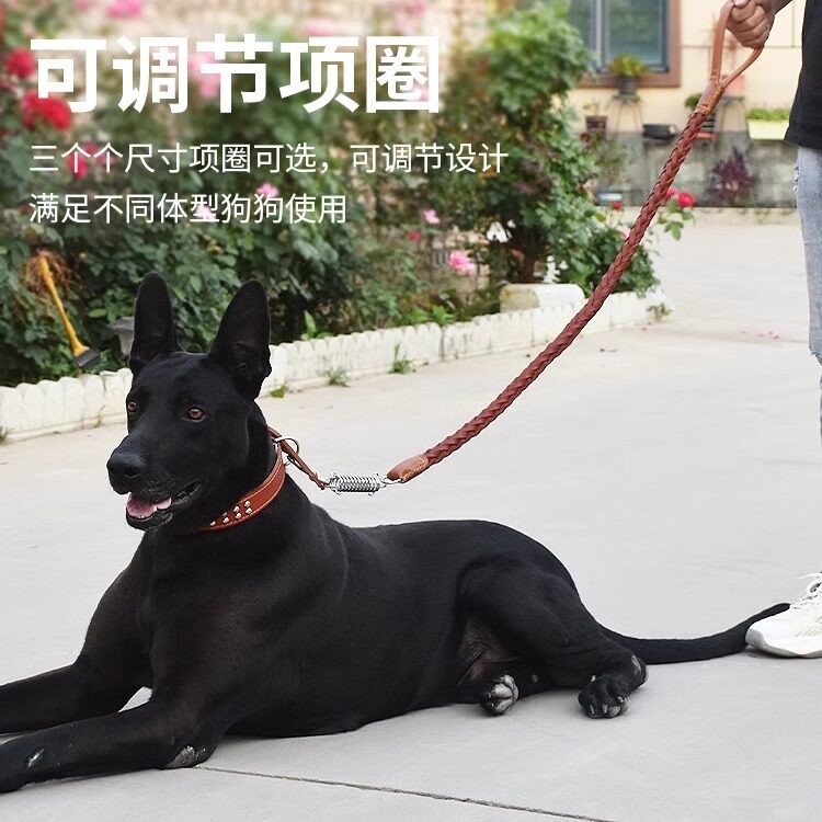 p链p绳狗狗牵引绳遛子小