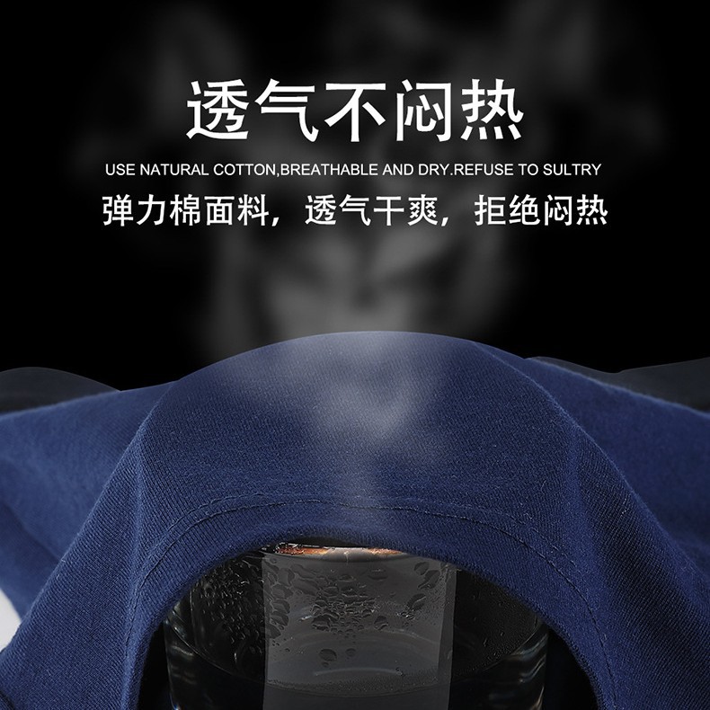 南极男士内裤男平角裤纯