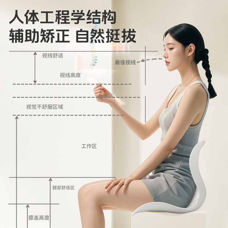 家用人体工学护腰坐垫办