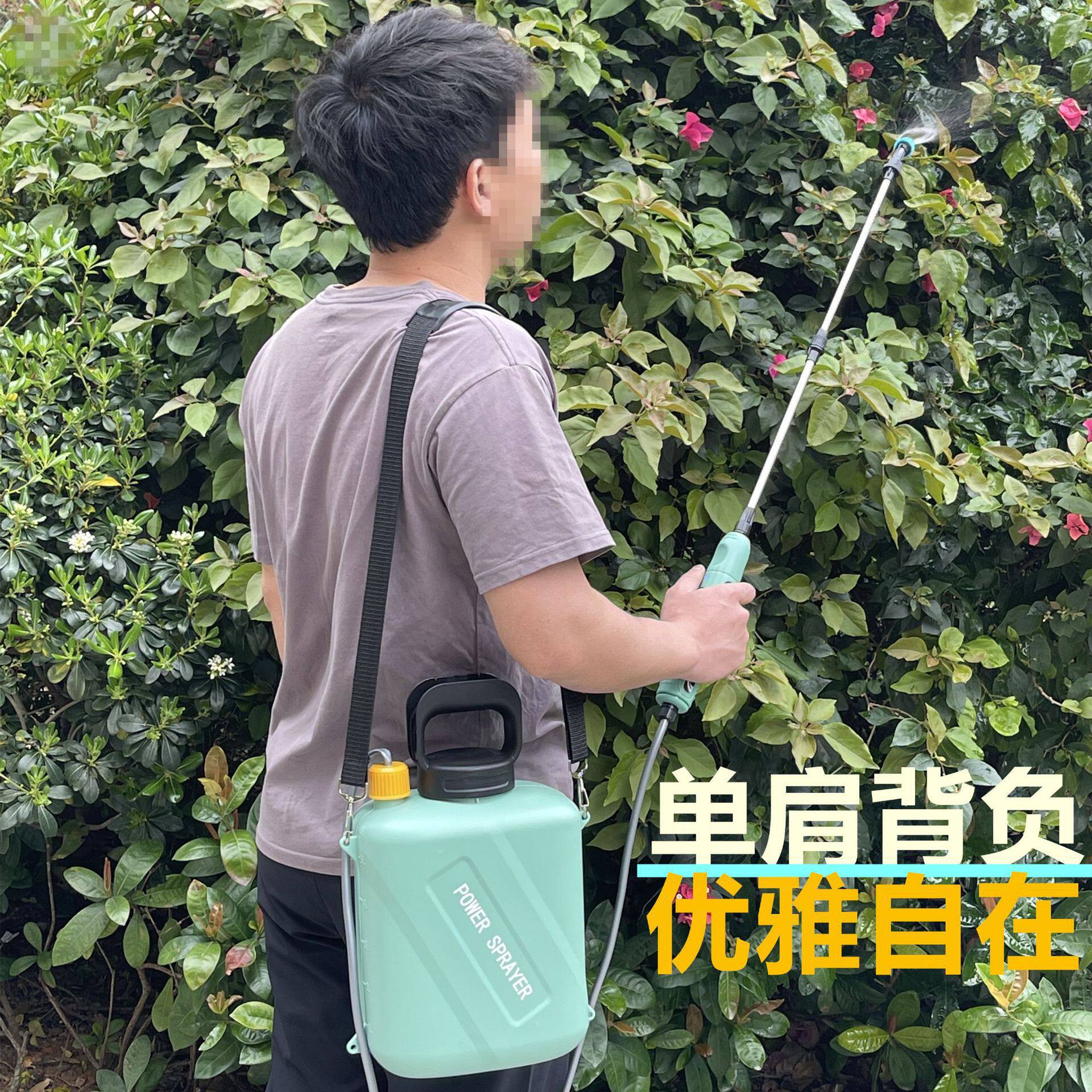 肩负式电动喷雾器农用园艺小型打药机农药喷花浇花清洁高压喷水壶