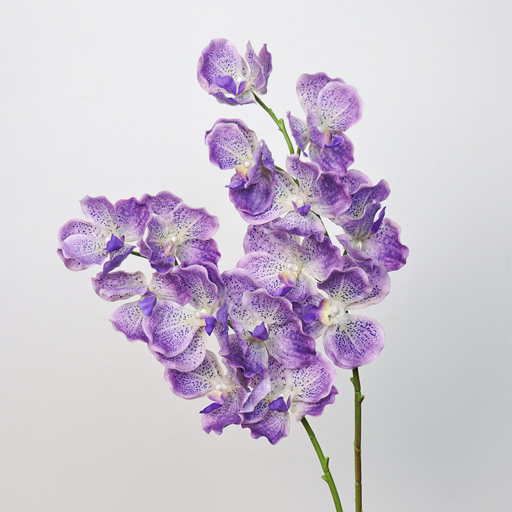 仿真花手感保湿万代兰蝴