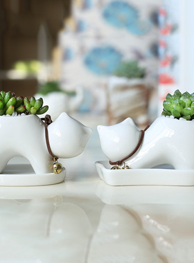 美式乡村创意白色陶瓷多肉花盆 家居摆件萌萌卡通小猫绿植盆栽