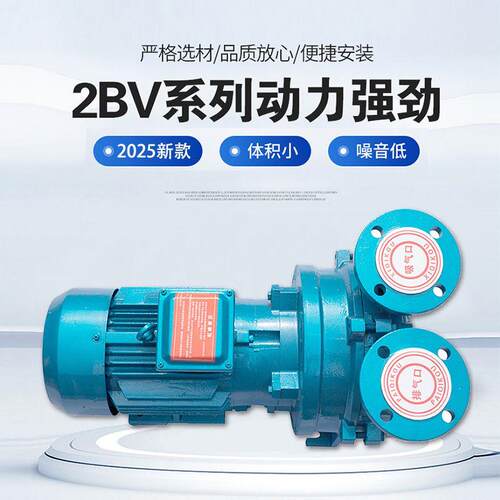 2BV水环式真空泵淄博水环负压大功率吸力工业水循环液环泵水环泵