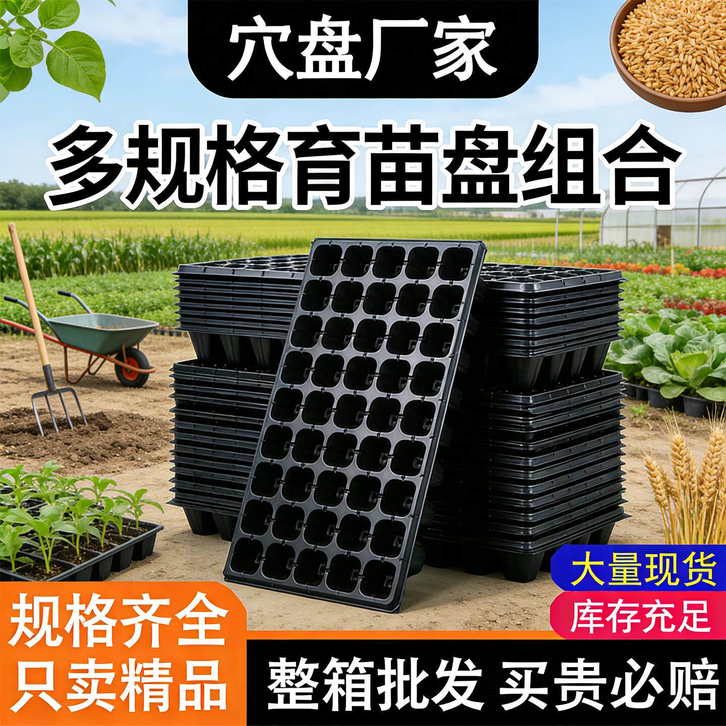 育苗盘育苗盆穴盘塑料杯多肉种植蔬菜育种专用盘托盘育苗盒