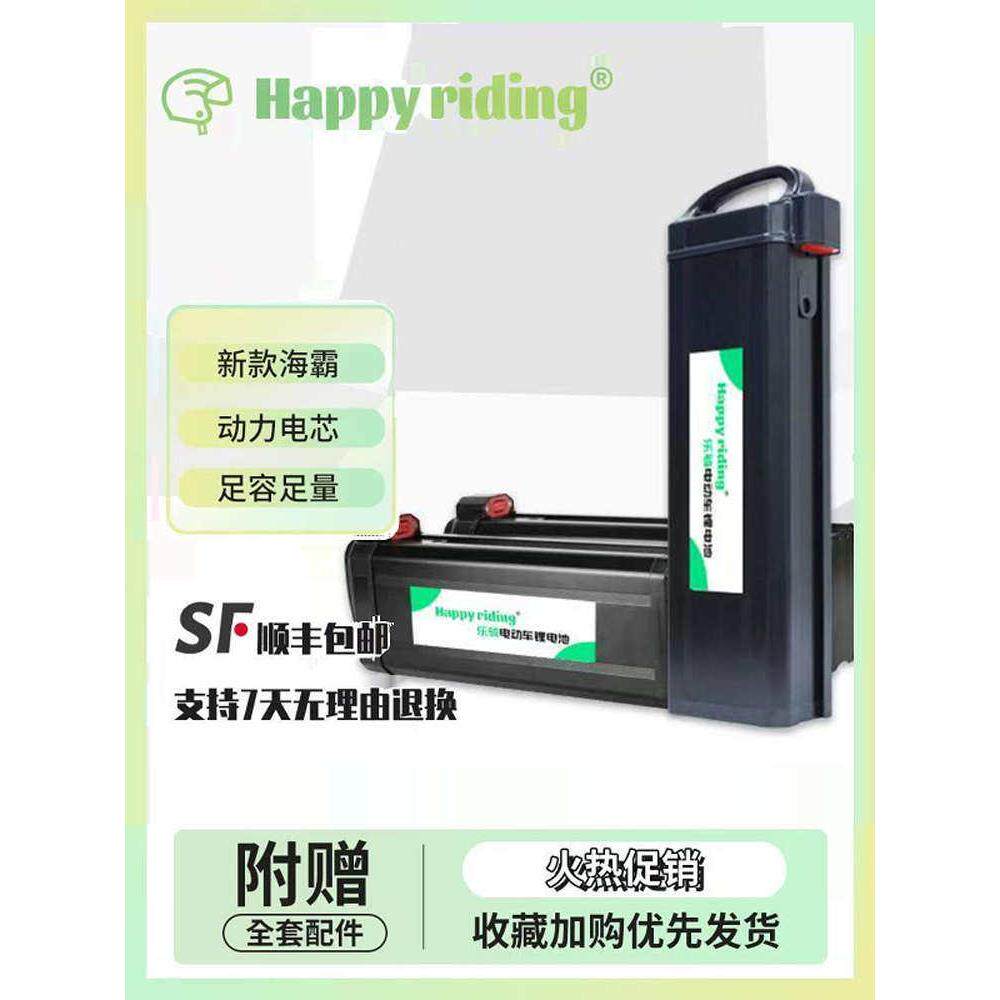 折叠电动车48v锂电池新海霸银鱼款适名顶英格威哥得圣G-force通用