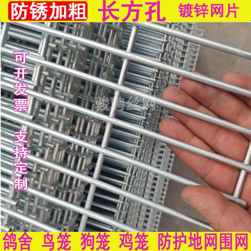长孔铁丝网围栏防护网镀锌网片网格小孔鸽舍鸟笼狗笼子养殖网地网