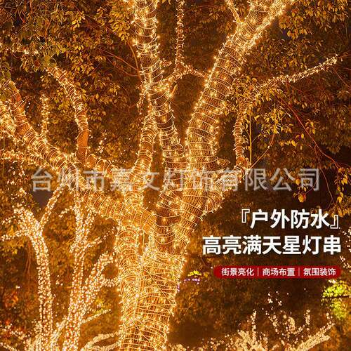 le小d彩灯满天星装饰圣诞串灯圣诞风户夜灯意氛围灯室内外ALI创新
