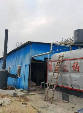 物燃煤燃生DAJ质水蒸汽供锅炉食品烘干杀青产养殖暖厂家供应热水