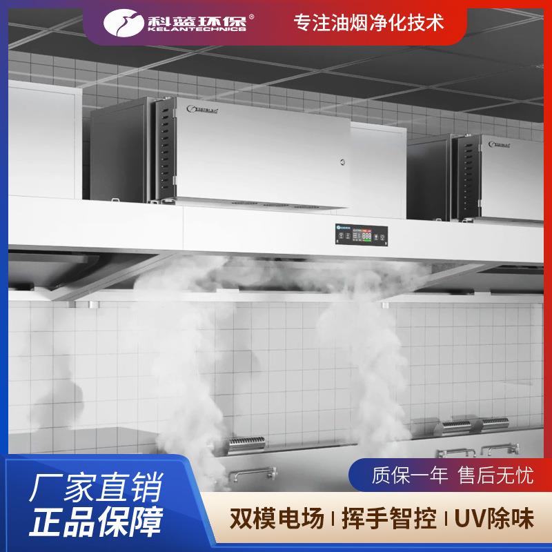 烟罩一体机不锈钢蒸汽清洗商用厨房饭店油烟净化工厂现货