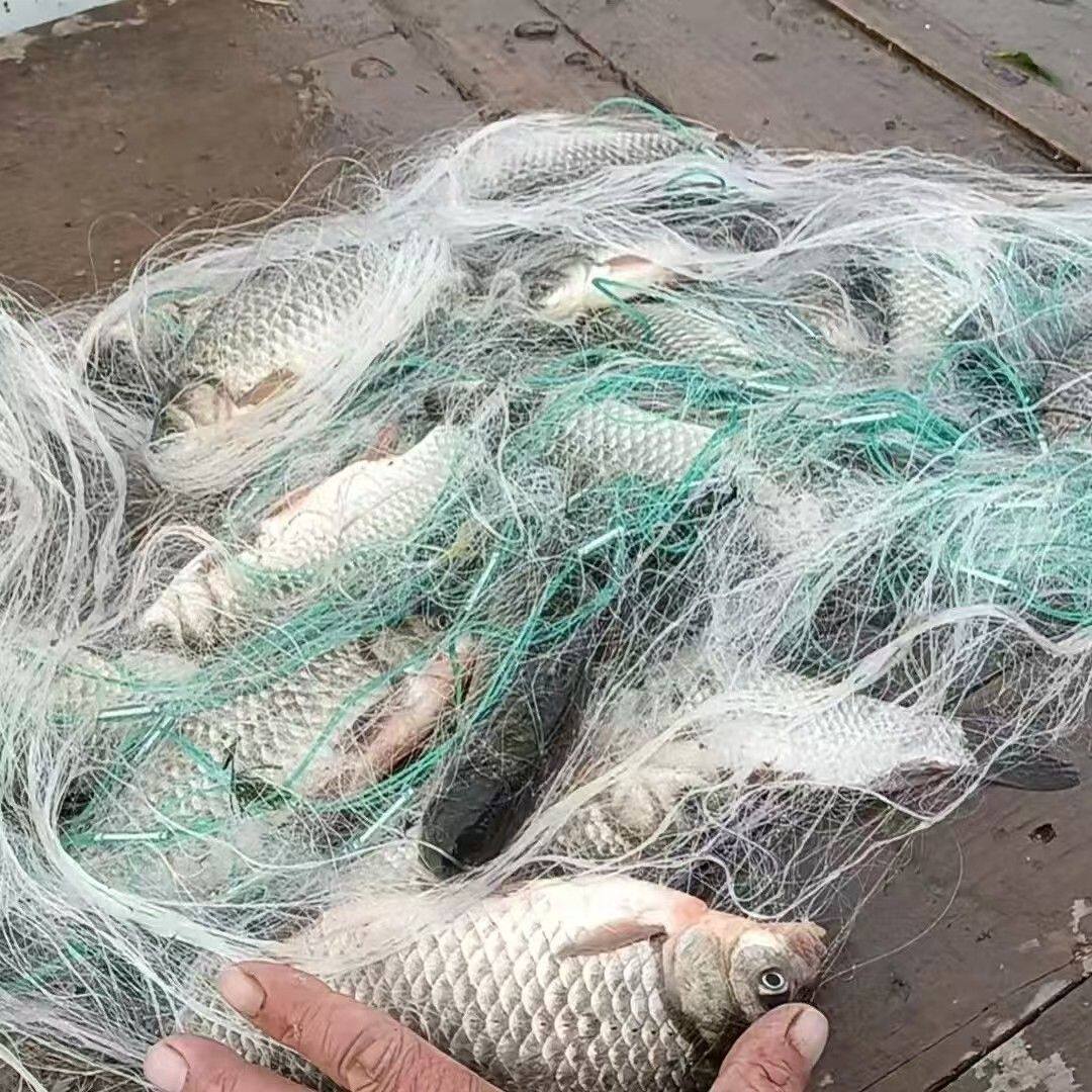 三层沉底挂网小鱼捕捞鲫鲤鲢鳙加粗加密软胶丝加强铅坠